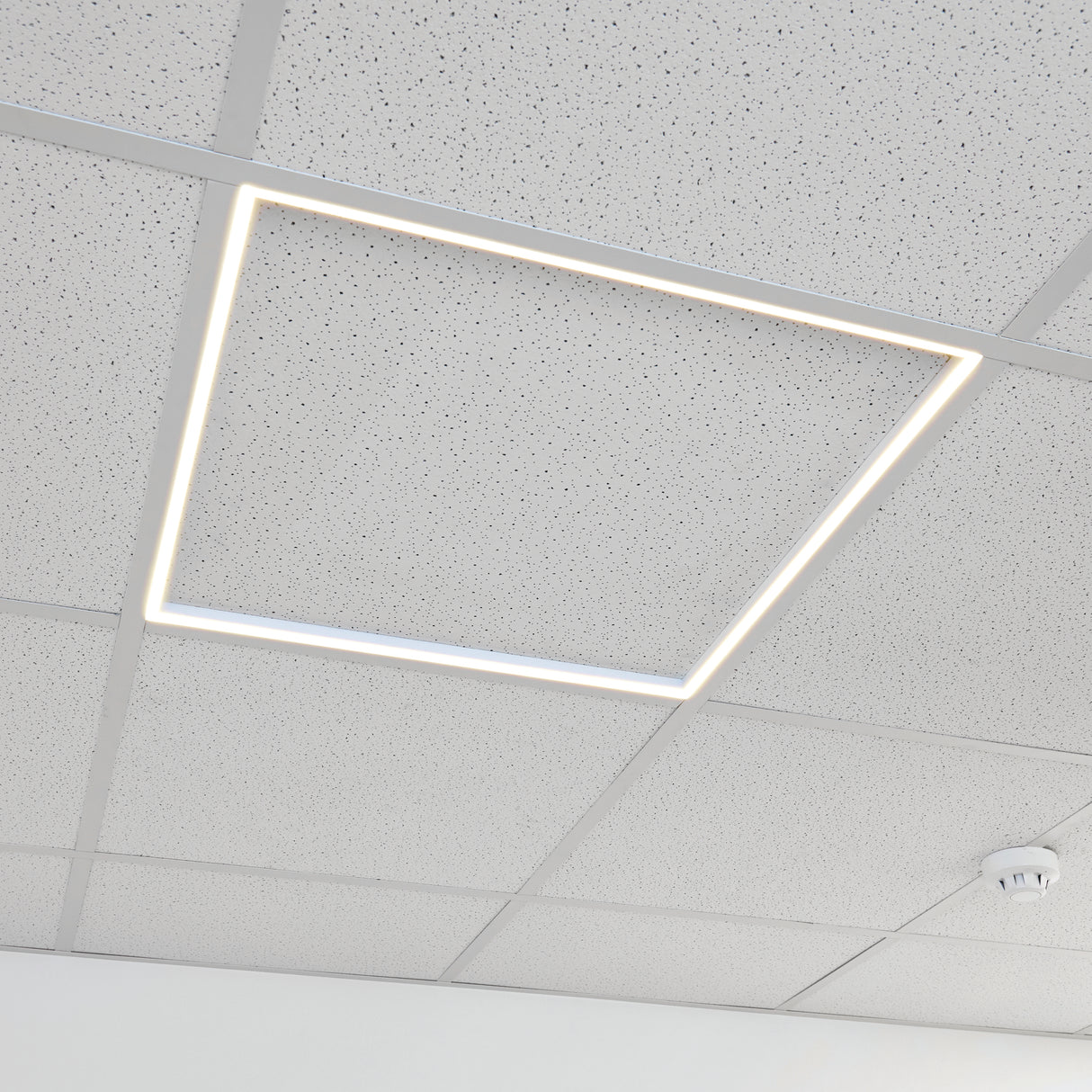 Rectangular 600x600 LED frame ceiling light fixture on a tiled ceiling