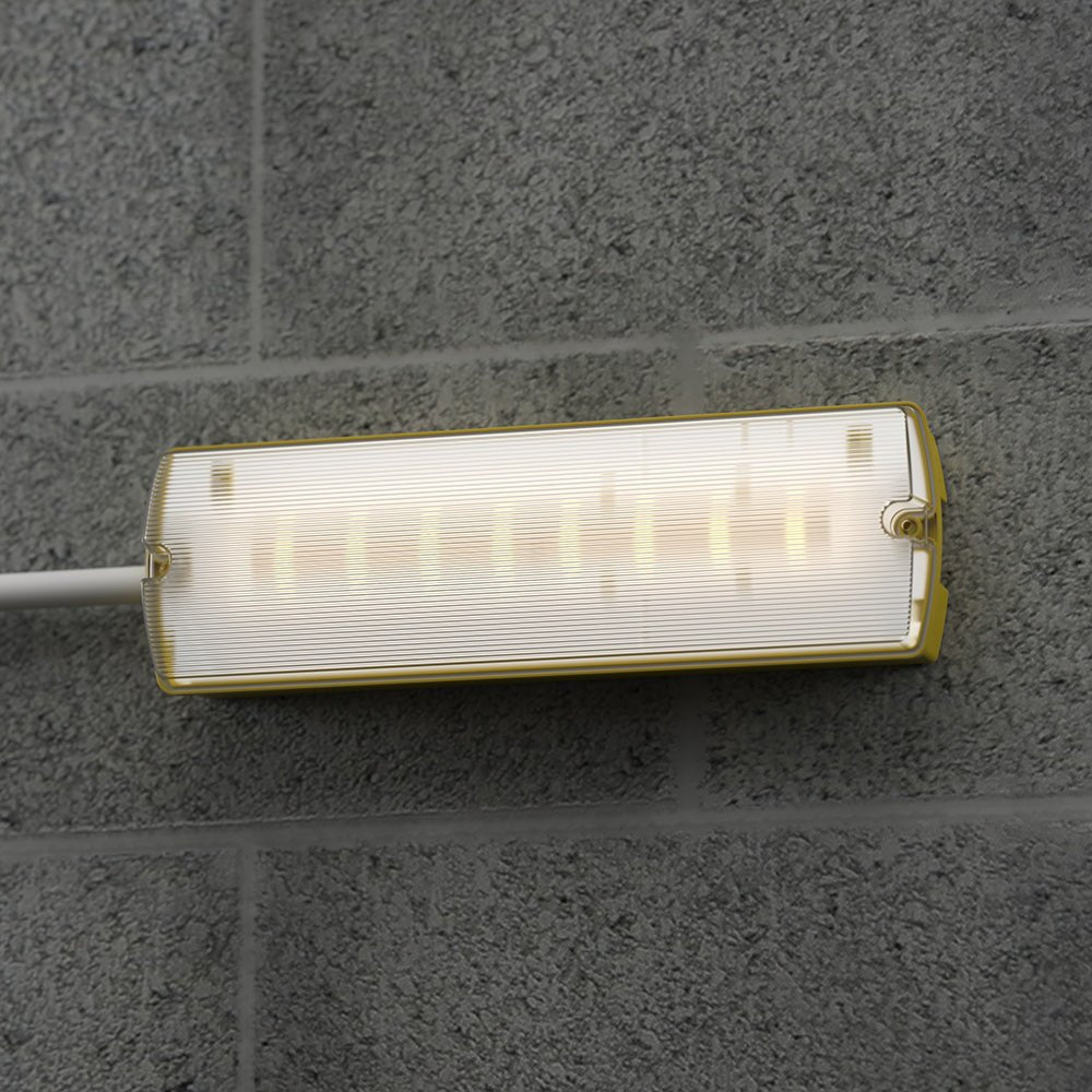 APEX 110V Rectangle Fire Exit Bulkhead Light Fitting | LED 5W 220lm | 6500K Daylight White | IP65 | 3hr Emergency - LightHub Direct