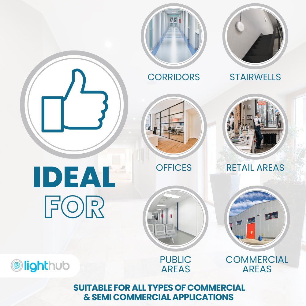 AXIO Mini Non Maintained LED Downlight Pin Spot Light | LED 2W 150lm | 6500K Daylight | IP20 | 3hr Emergency | Black - LightHub Direct