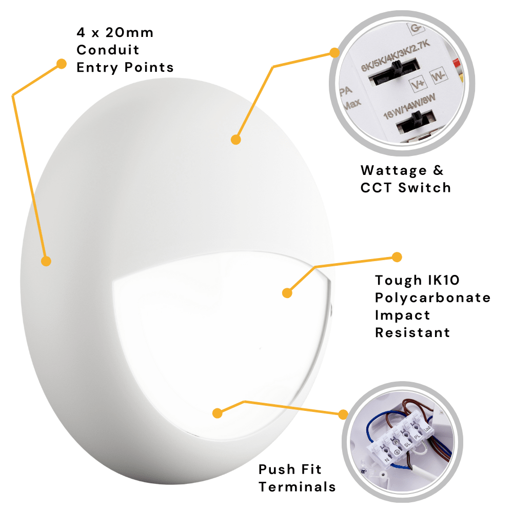 BALHAM PRO Drum Bulkhead Light Fitting | LED Multi Wattage | CCT 5 - Colour | IP65 | White Eyelid | Standard Model - LightHub Direct