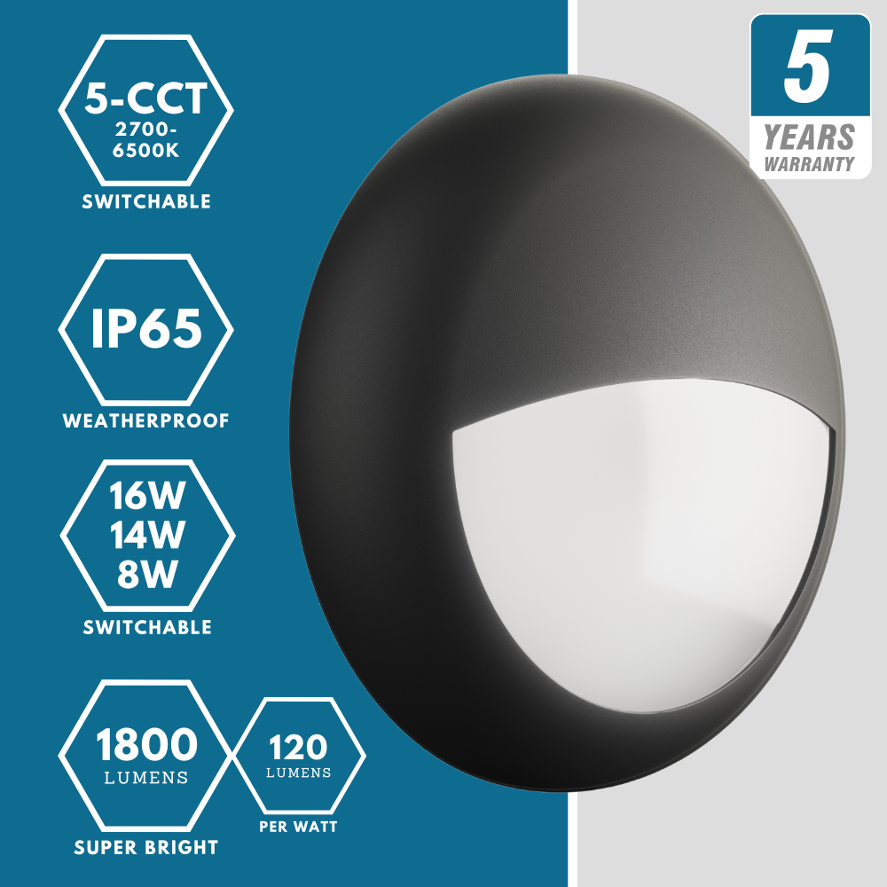 BALHAM Drum Bulkhead Light Fitting | LED 18W 1600lm | CCT Tri-Colour | IP65 | Black Eyelid