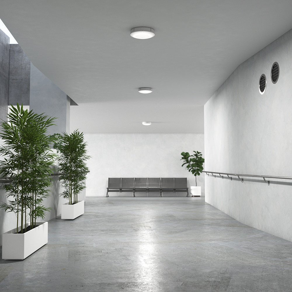 HOLBORN Drum Bulkhead Light Fitting | LED Multi Wattage | CCT 3 - Colour | IP65 | 3hr Emergency - LightHub Direct