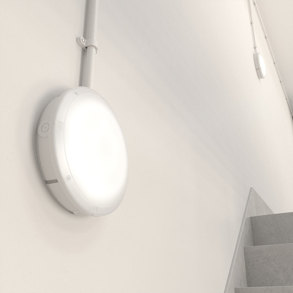 HOLBORN Drum Bulkhead Light Fitting | LED Multi Wattage | CCT 3-Colour | IP65 | 3hr Emergency