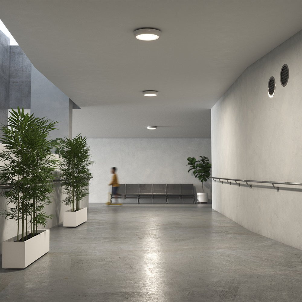 EUSTON TRINITY Slim Bulkhead Light | LED Multi Wattage 2160lm | Tri - Colour CCT | IP65 | Standard - LightHub Direct