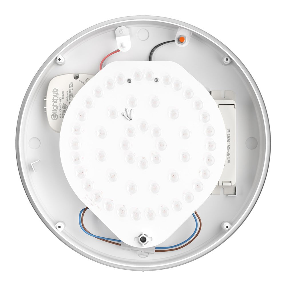 HOLBORN Drum Bulkhead Light Fitting | LED Multi Wattage | CCT 3 - Colour | IP65 | 3hr Emergency - LightHub Direct