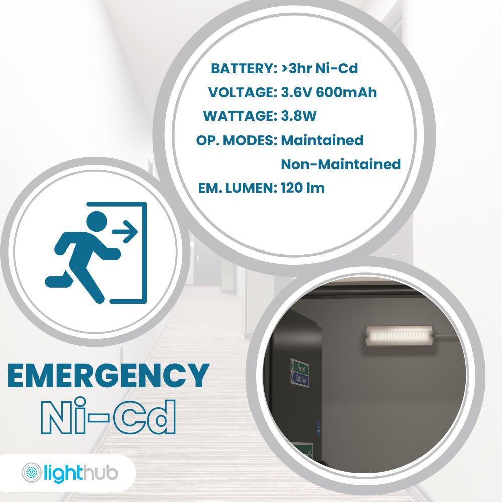 APEX - 4 Rectangle Fire Exit Bulkhead Light Fitting | LED 3.5W 254lm | 4000K Daylight White | IP65 | 3hr Emergency Function - LightHub Direct