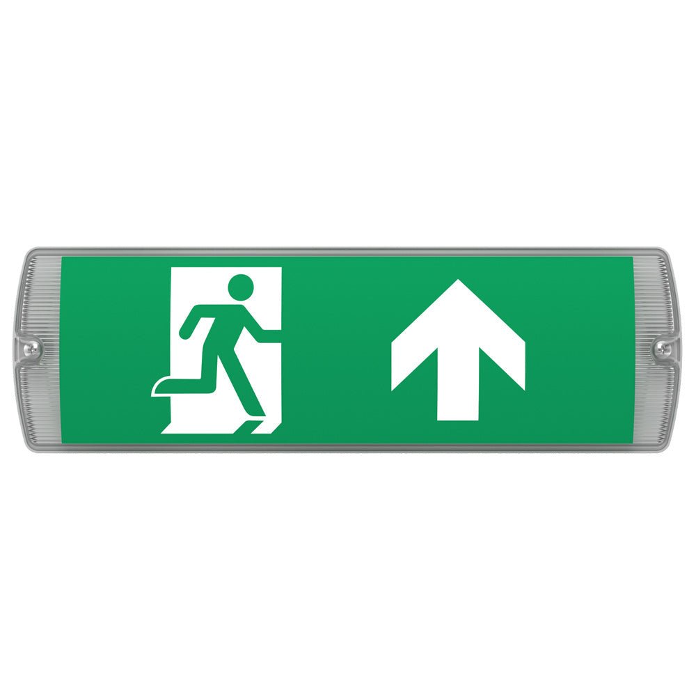 APEX - 4 Rectangle Fire Exit Bulkhead Light Fitting | LED 3.5W 254lm | 4000K Daylight White | IP65 | 3hr Emergency | Self Test - LightHub Direct