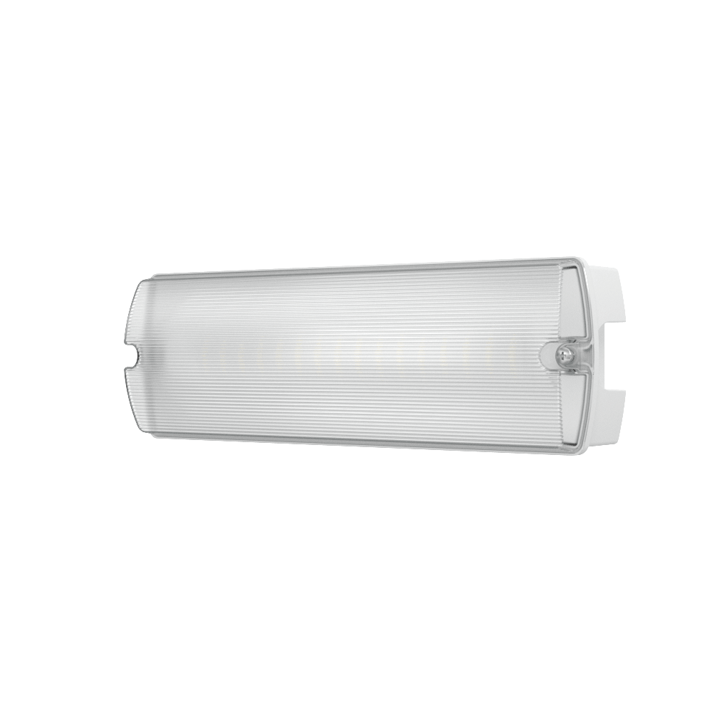 APEX - 4 Rectangle Fire Exit Bulkhead Light Fitting | LED 3.5W 254lm | 4000K Daylight White | IP65 | 3hr Emergency | Self Test - LightHub Direct