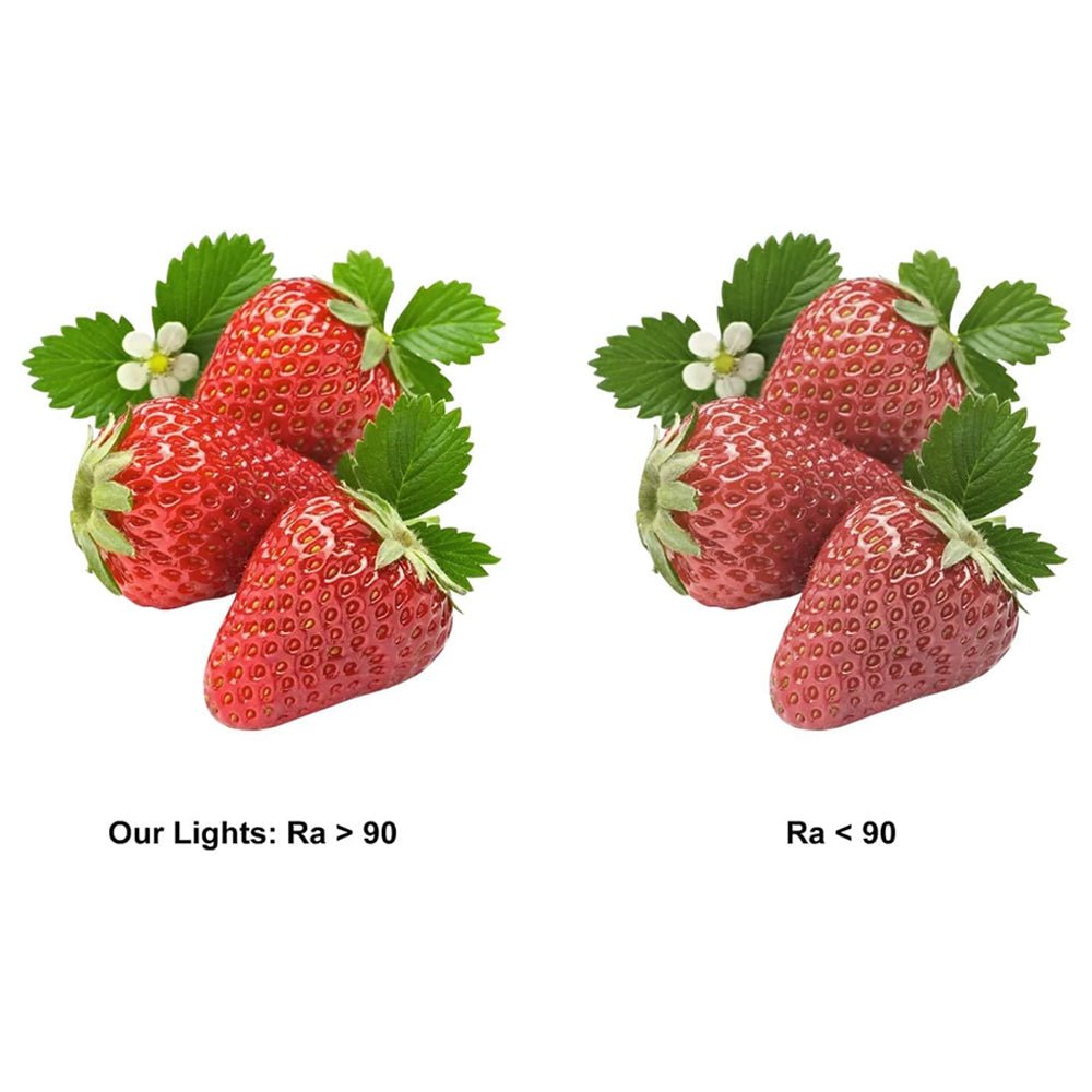 24V Seamless Dotless LED Tape Strip Light | 5W COB LED | Dimmable | Daylight White 6000K | Sold Per Metre - LightHub Direct