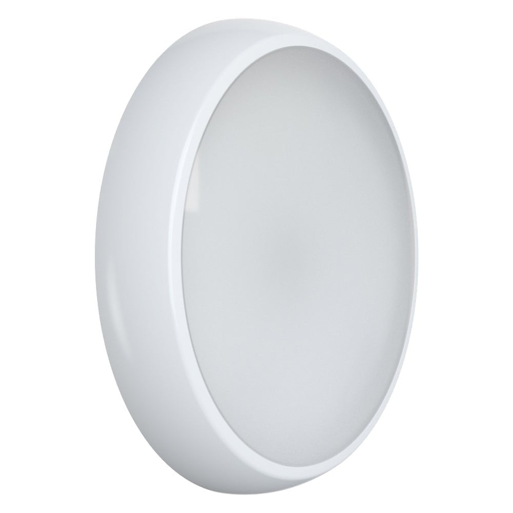 EUSTON CCT Slim Bulkhead Light Fitting | LED 14W 1430lm | CCT Tri - Colour Switchable | IP65 | Standard - LightHub Direct
