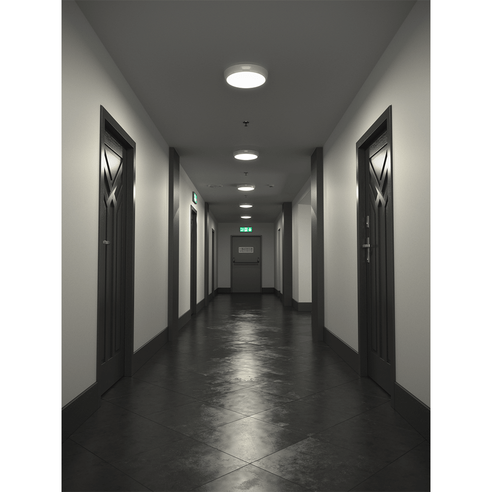EUSTON CCT Slim Bulkhead Light Fitting | LED 14W 1430lm | CCT Tri - Colour Switchable | IP65 | Standard - LightHub Direct