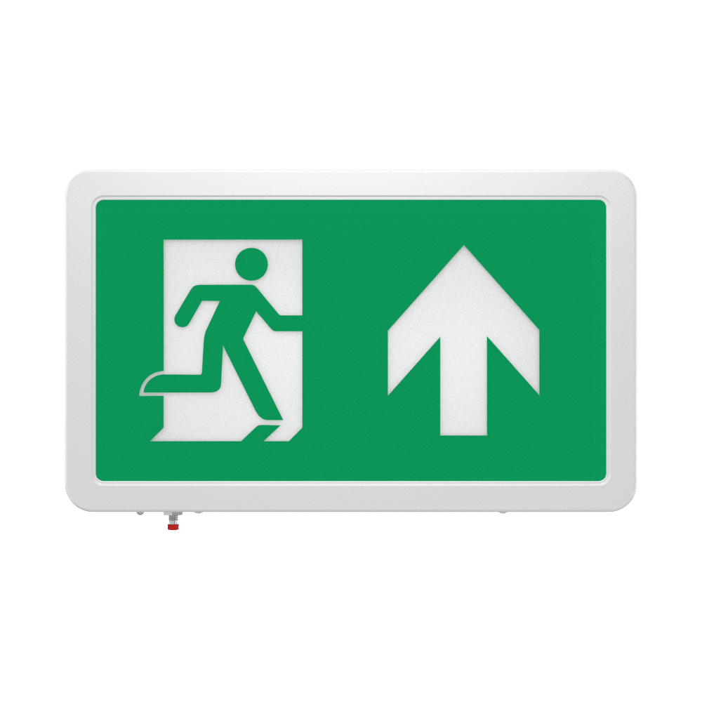 MAGNA Over Door Fire Exit Box Running Man Light | LED 4W 200lm | 6000K Daylight White | IP20 | 3hr Emergency Function | Down Arrow - LightHub Direct