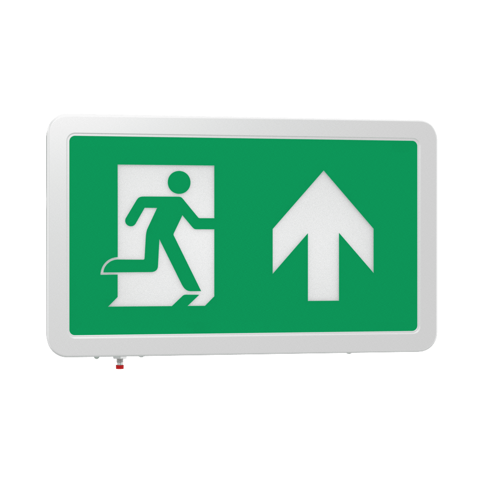 MAGNA Over Door Fire Exit Box Running Man Light | LED 4W 200lm | 6000K Daylight White | IP20 | 3hr Emergency Function | Down Arrow - LightHub Direct