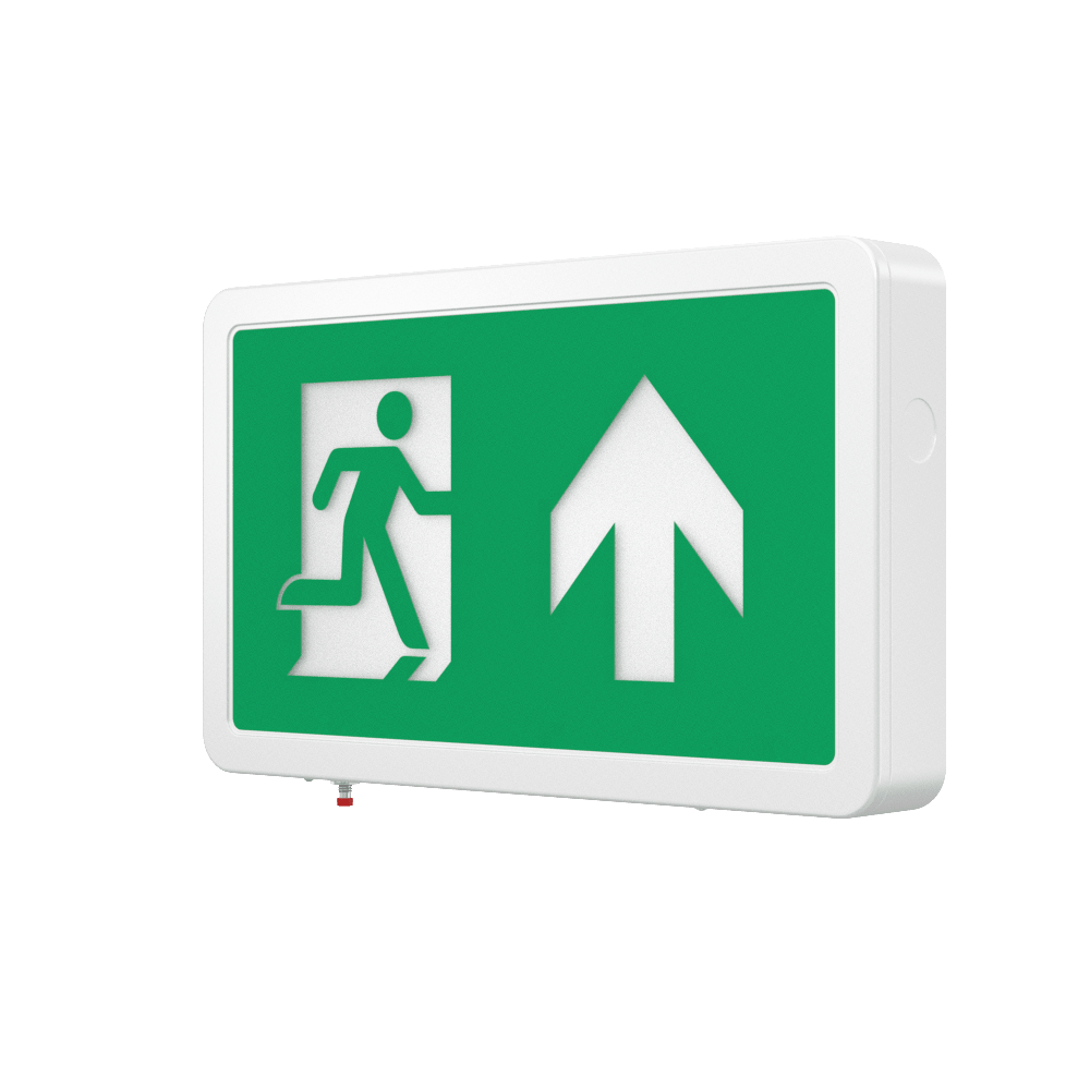 MAGNA Over Door Fire Exit Box Running Man Light | LED 4W 200lm | 6000K Daylight White | IP20 | 3hr Emergency Function | Down Arrow - LightHub Direct