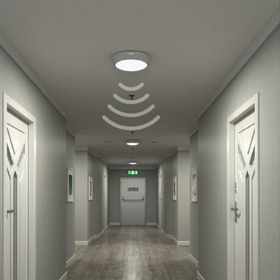 Lights for Every Space: Exploring Different Types of Bulkhead Lighting - LightHub Direct