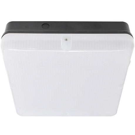 Stratford LED Bulkheads - LightHub Direct