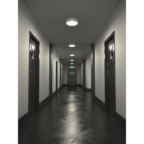 Bulkhead Emergency Lights - LightHub Direct