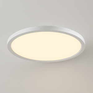 CCT Slim Low Profile Circular Flush Ceiling Corridor Bathroom Kitchen Light | 12W LED 1200lm | IP54 | White