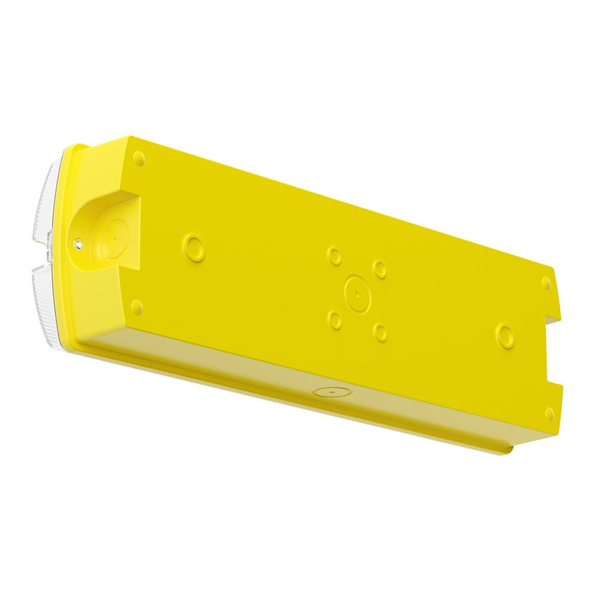 APEX 110V Rectangle Fire Exit Bulkhead Light Fitting | 3hr Emergency ...