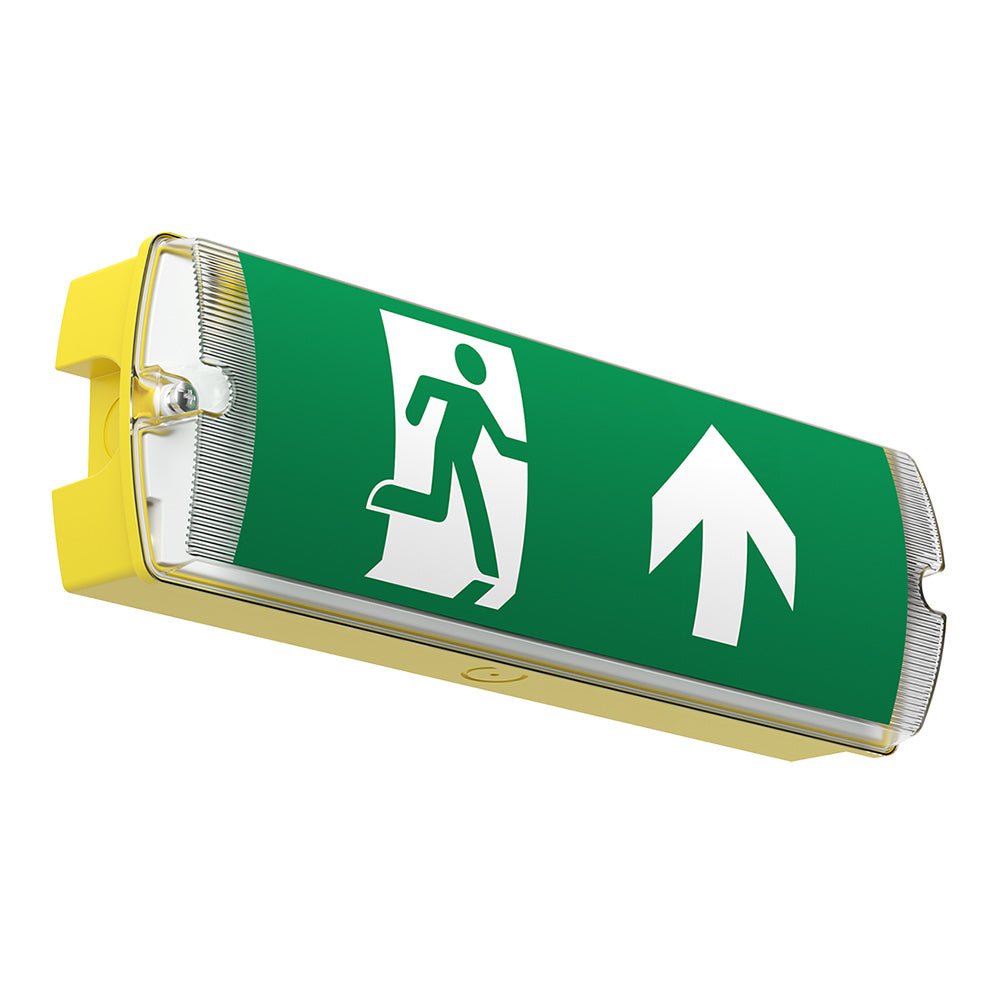 APEX 110V Rectangle Fire Exit Bulkhead Light Fitting | 3hr Emergency ...