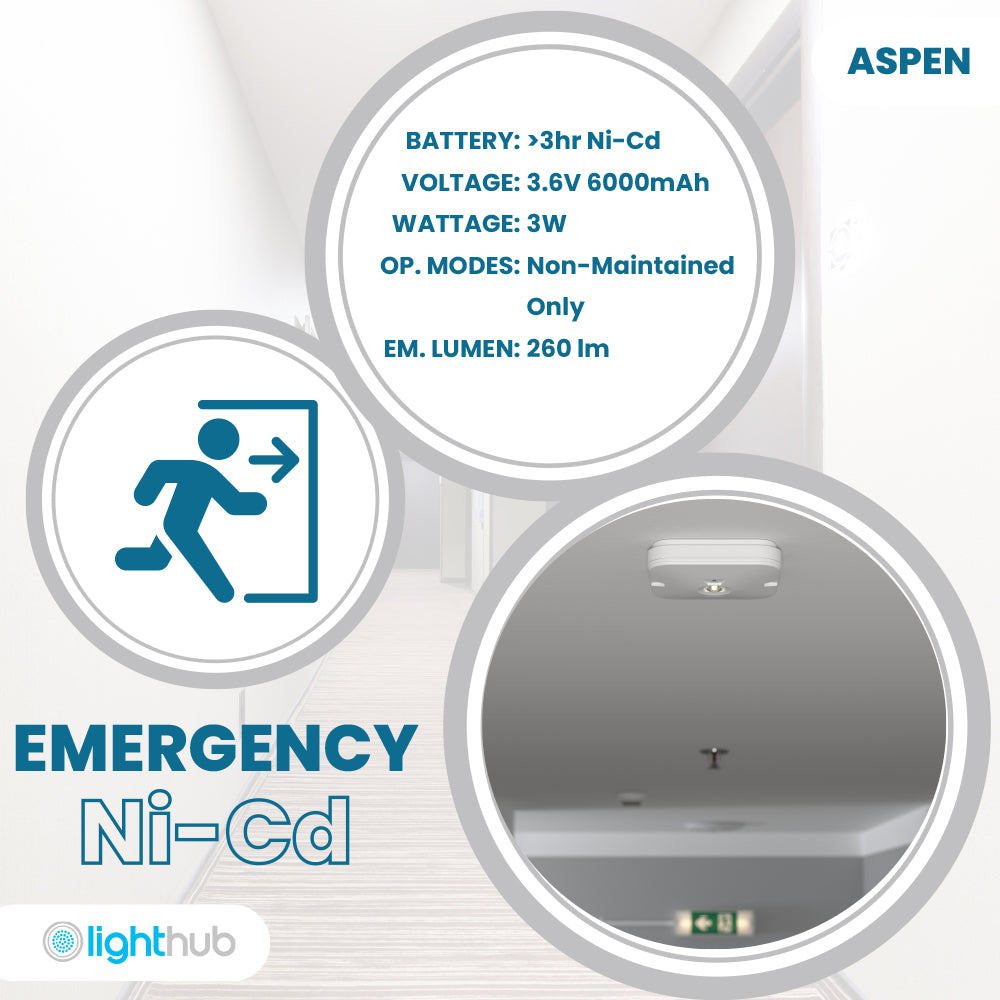 Surface emergency downlight new arrivals