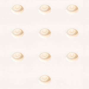 CCT Fixed Plaster-in Trimless Round Dimmable Downlight | LED 6W | White | 3000K,4000K & 6500K | 10 PACK