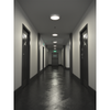 EUSTON CCT Slim Bulkhead Light Fitting | LED 14W 1430lm | CCT Tri-Colour Switchable | IP65 | 3hr Emergency Function | Microwave Motion Sensor