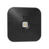 Surface LED Downlight Ceiling Spot Light | LED 3W 280lm | 6000K Daylight | IP44 Black | 3hr Emergency | Open Lens