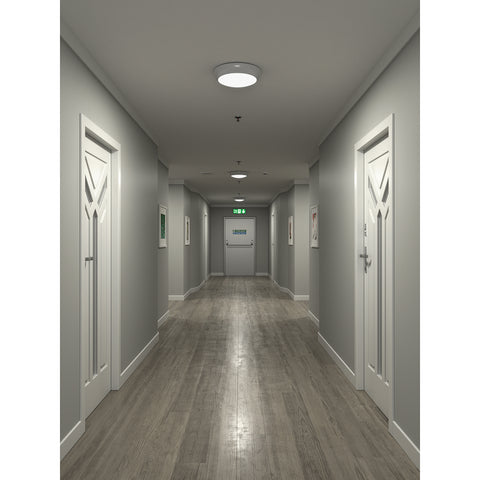 DALSTON Dome Bulkhead Light Fitting | LED 17W 1500lm | CCT Tri-Colour | IP65
