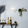 TUDOR LED Decorative Half Moon Paintable Plaster Wall Uplighter Light | E14 (SES) | Up Light Effect | 2700K Warm White