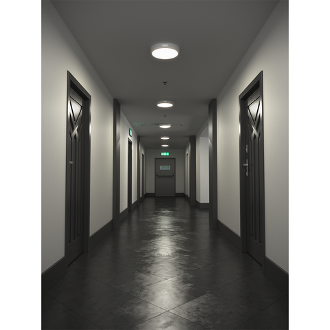 EUSTON Emergency Round LED Bulkhead Lights on Corridor Ceiling